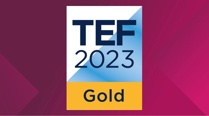 The TEF 2023 Gold logo on a maroon background